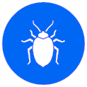 Bedbugs Control