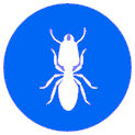 Termite Control